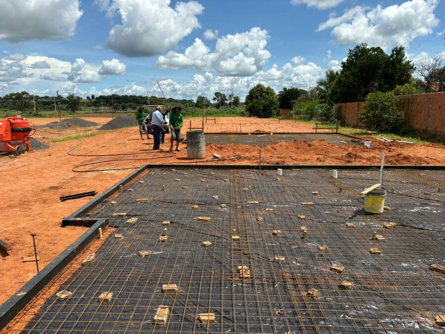 Imagem 122222111111111figueiraocapa